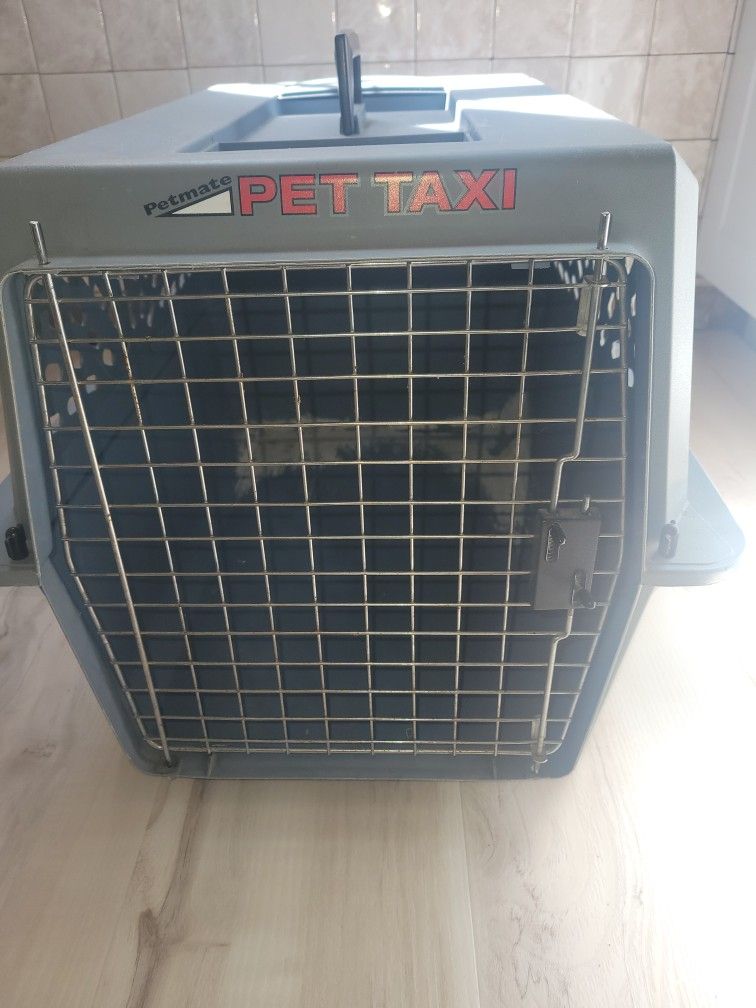 Large Pet Taxi