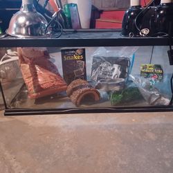 Reptile Supplies
