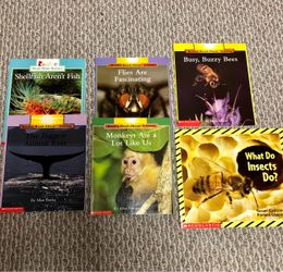 Kids Small Book Lot