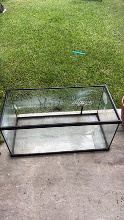 Big fish tank