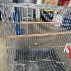 Bird Cage