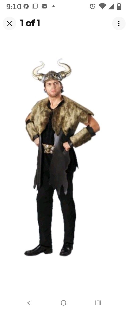 Viking Costume Size Mens Large