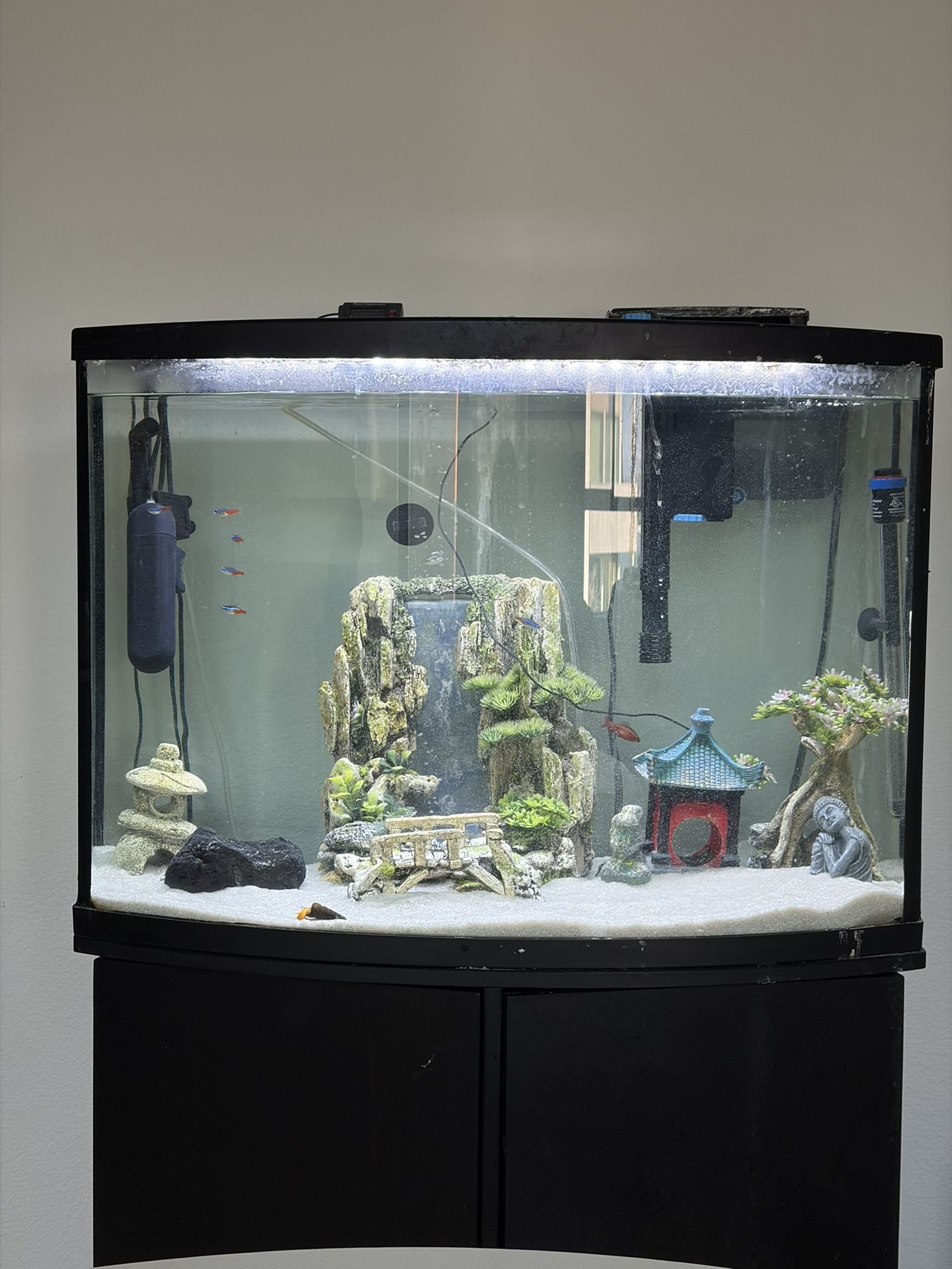 🐠 Top Fin 36-Gallon Bowfront Fish Tank + Stand – Full Setup