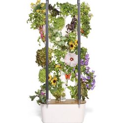 FREE ✨ INDOOR GARDEN (900$ VALUE)