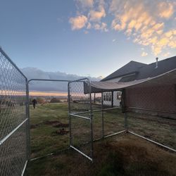 Chain Link Dog Kennel!