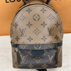 Louis Vuitton Palm Spring Bagpack Mini