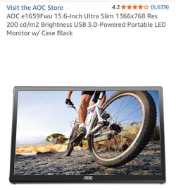 Portable monitor