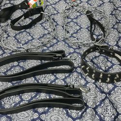 COLLARS FOR DOGS