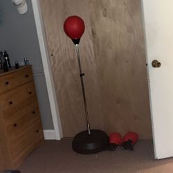 Punching Bag With Stand (And Gloves)