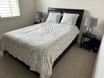 Bedbug Set 