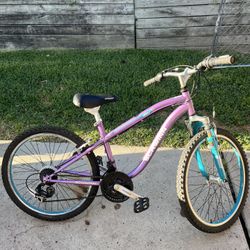 Schwinn Atlas Girl Bike 