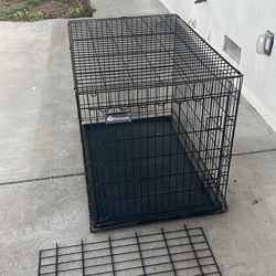 Dog Crate large with divider