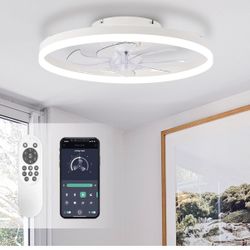 Ceiling Fan with Light