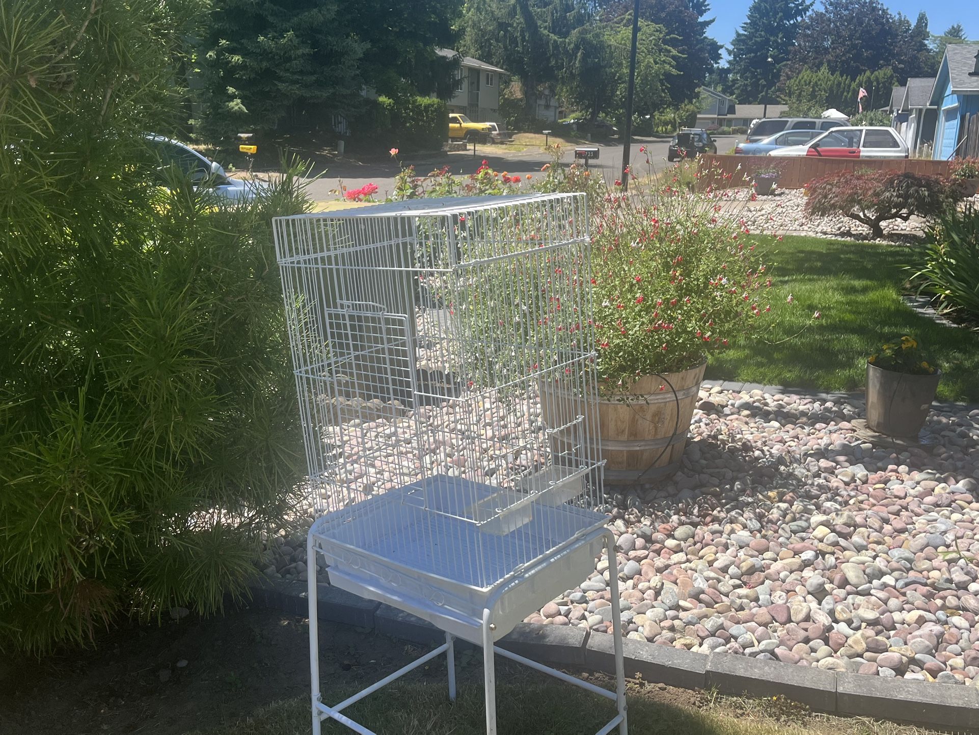 Bird Cage