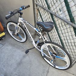 Adult Bike