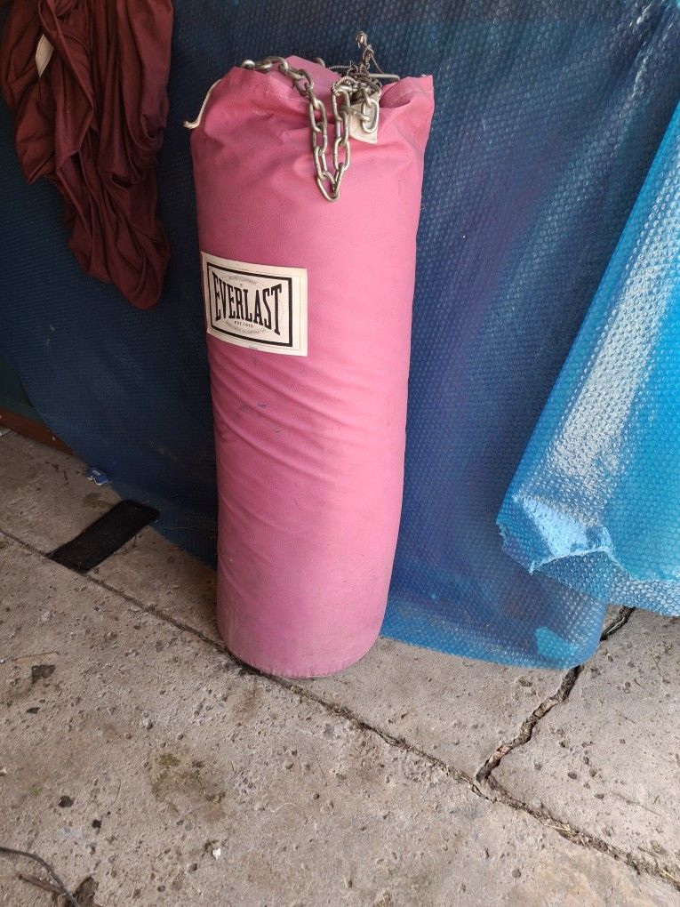 100 Lb Everlast Boxing Bag