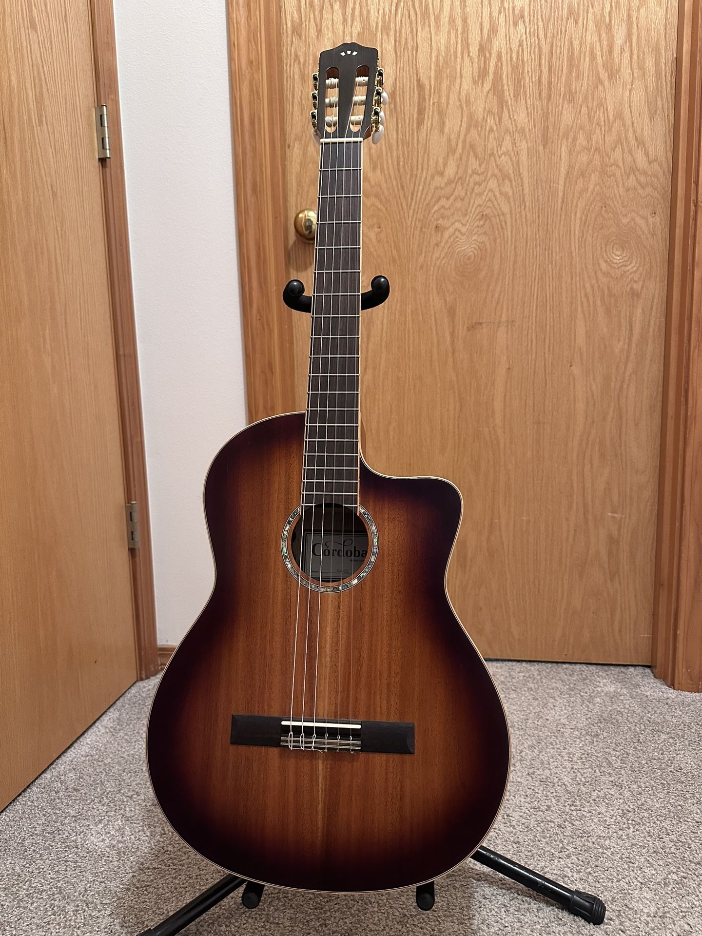 Guitar