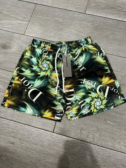 Dior Swim Shorts New Season Any Colors