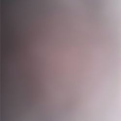 Looking Into Renting A House 