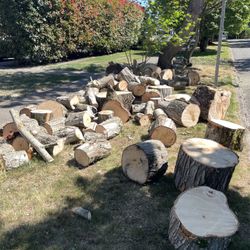 FREE Firewood - Maple