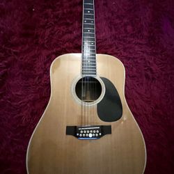 Takamine & Co 12 String Guitar 1962  F400s