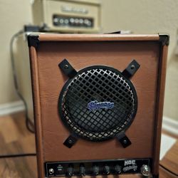 Pignose amp for sale deals