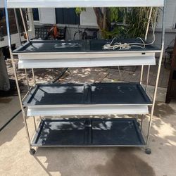 Indoor Plant Stand With Lights 