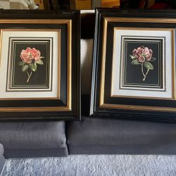 Large Framed Paintings