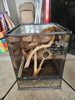 Exo terra enclosure