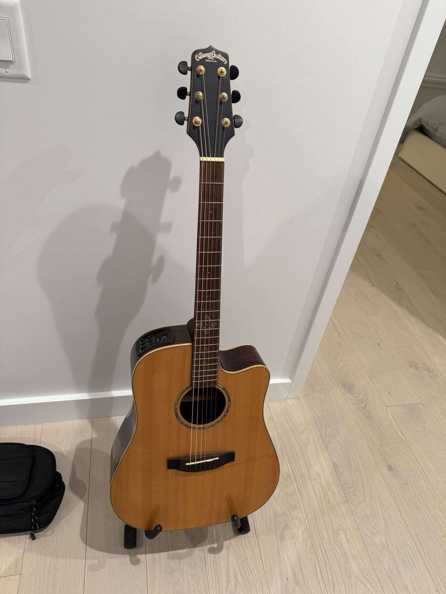 Acoustic Guitar