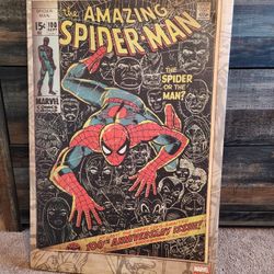 Spiderman Canvas Print Poster