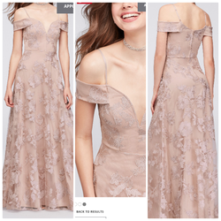 Embroidered Mesh Off-the-Shoulder A-Line Gown