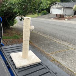 Cat Kitty Scratching Scratch Post Cat Kitty Tree Like New