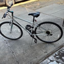 Trek Bike