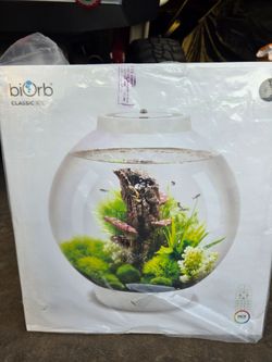 Biorb fish tank