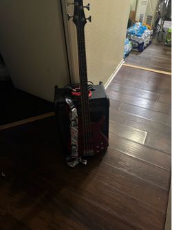 Bass and amp set up