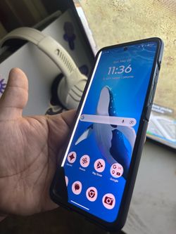 2024 Motorola razr