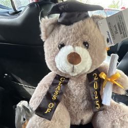 Teddy Bear For Graduation Year 2025!!