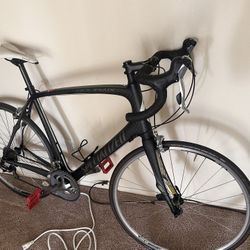 Specialized Carbon Fiber Large 