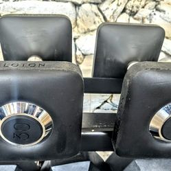 Pair of 30lb dumbbells (Peloton)
