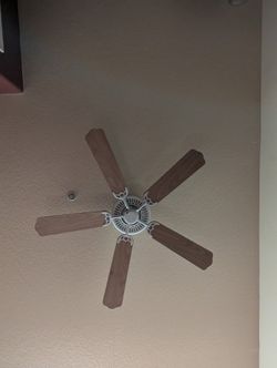 Ceiling fan with light