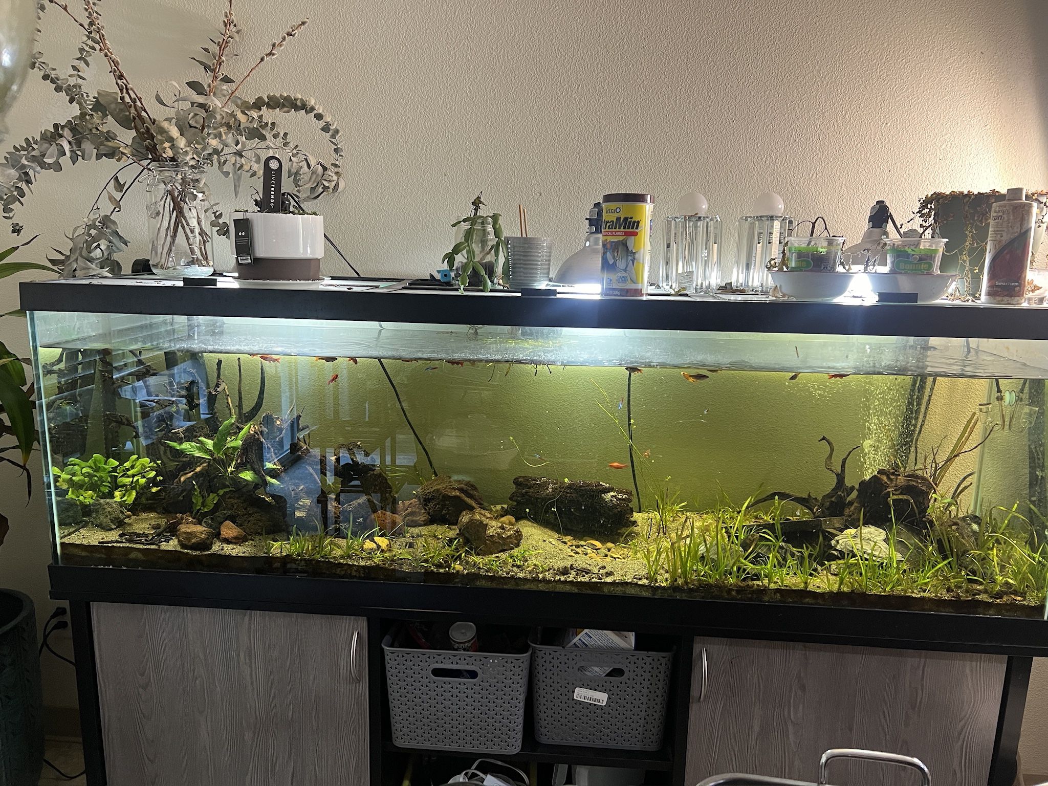 125 Gal Aquarium 500obo