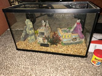 5 Gal Aquarium Full Setup - Filter, Hood, Decor