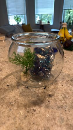 Fish Bowl