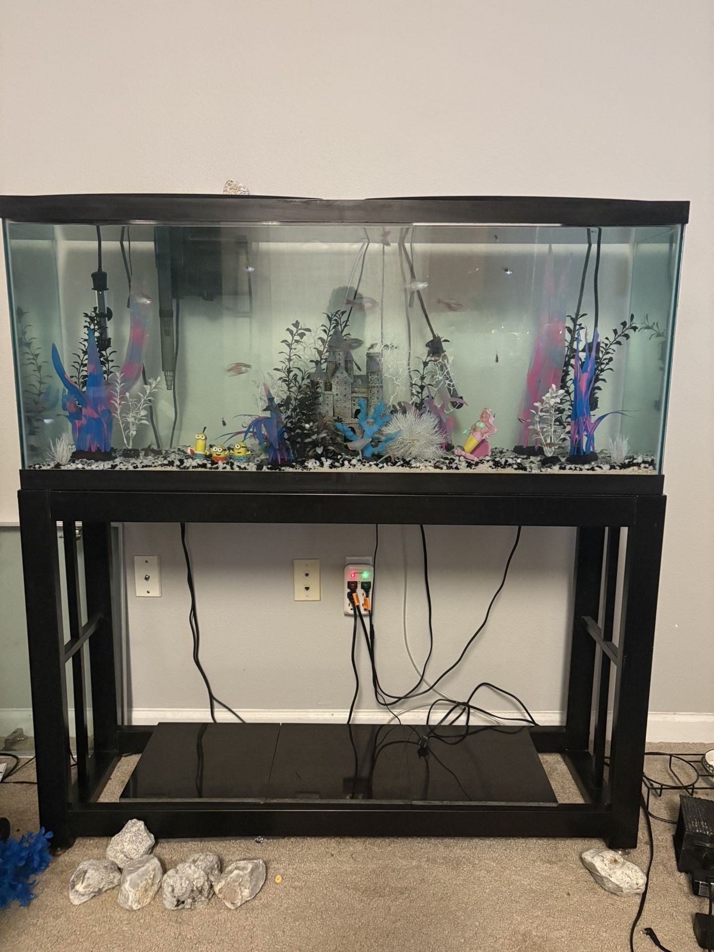 55 Gallon Fish Tank