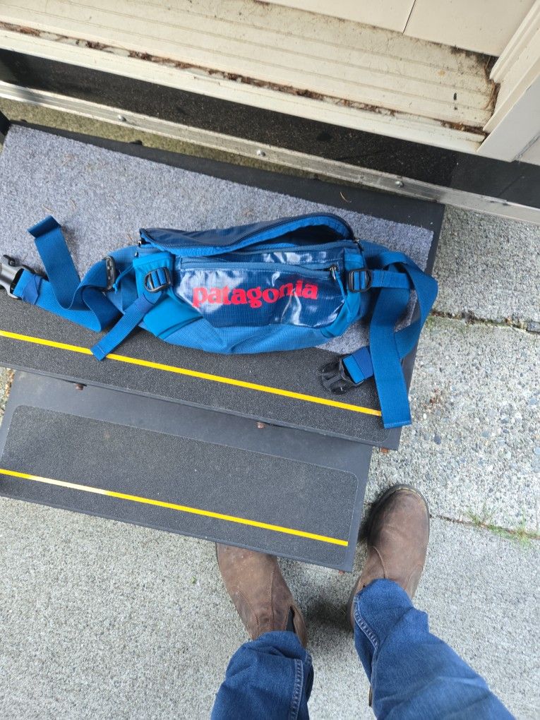 New Patagonia Hip Pack