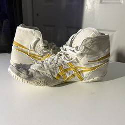 ASICS Wrestling Shoes EX-EO 