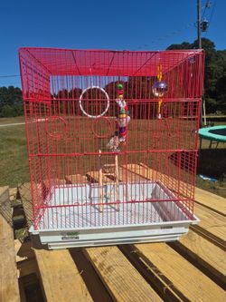 Bird cage