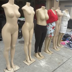 7  Maniquines