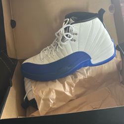 Air Jordan 12
